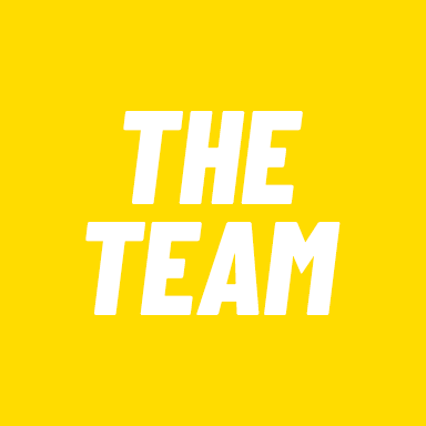 Logo The Team